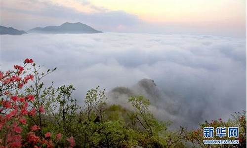 霍山县天气预报七天查询结果_霍山县的天气