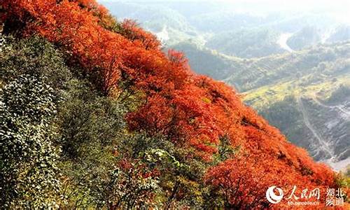 十堰郧县天气_十堰市郧县天气