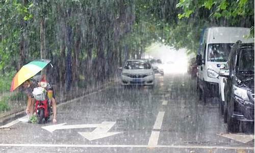 山东青岛暴雨预警最新消息_青岛暴雨预警信